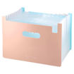 Picture of EXPANDING FILE A4 13 TABS PEACH